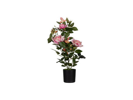 PAPERFLOW Plante artificielle 'rosier', (H)540 mm, rose