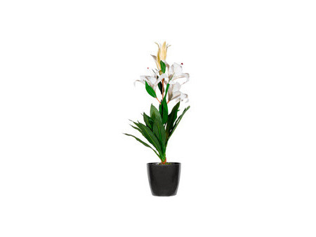 PAPERFLOW Plante artificielle 'fleurs de lys', (H)650 mm