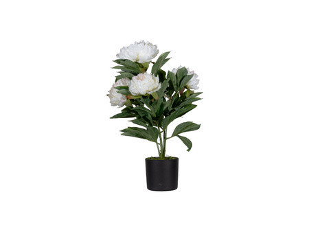 PAPERFLOW Plante artificielle 'pivoine', (H)550 mm, rose