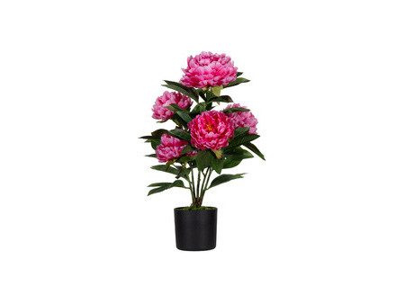 PAPERFLOW Plante artificielle 'pivoine', (H)550 mm, rose