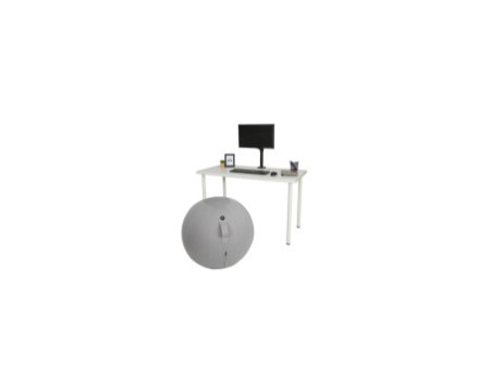 ALBA Ballon d'assise ergonomique 'MHBALL', gris clair