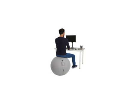 ALBA Ballon d'assise ergonomique 'MHBALL', gris clair