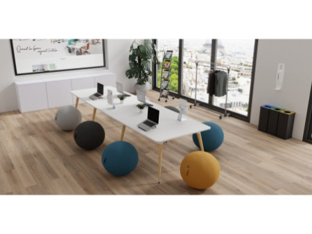 ALBA Ballon d'assise ergonomique 'MHBALL', gris clair