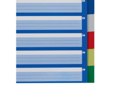 LEITZ Intercalaires en plastique, blanc, A4, 10 touches