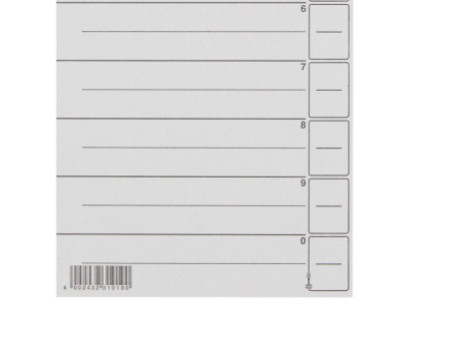 LEITZ Intercalaires, format A4 extra large, en carton solide