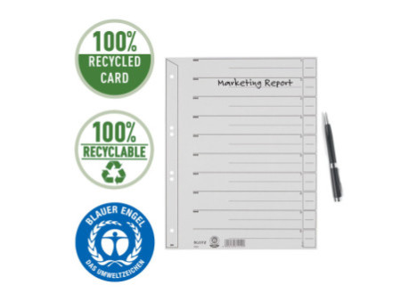 LEITZ Intercalaires, format A4 extra large, en carton solide