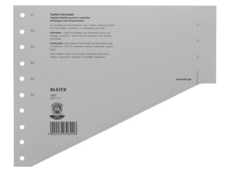 LEITZ Intercalaires-échelon, format A4 extra large, gris