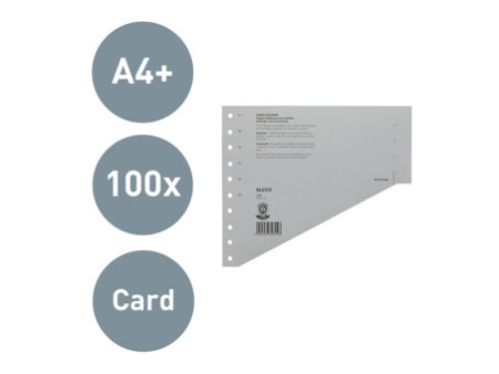 LEITZ Intercalaires-échelon, format A4 extra large, gris