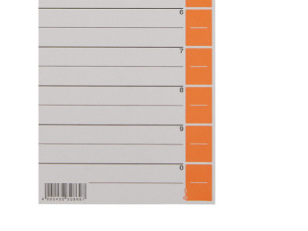 LEITZ Intercalaires, format A4 extra large, en carton solide