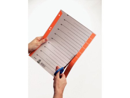 LEITZ Intercalaires, format A4 extra large, en carton solide