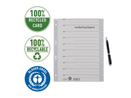 LEITZ Intercalaires, format A4 extra large, en carton solide