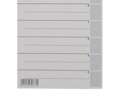 LEITZ Intercalaires, format A4 extra large, en carton solide