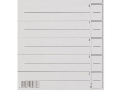LEITZ Intercalaires, format A4 extra large, en carton solide