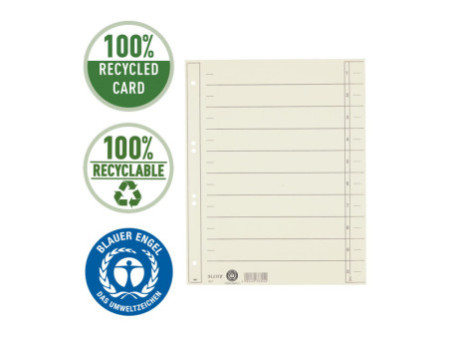 LEITZ Intercalaires, format A4 extra large, en carton solide