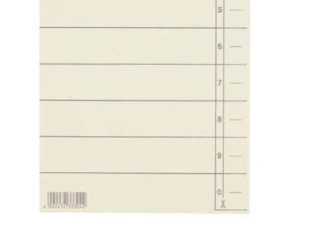 LEITZ Intercalaires, format A4 extra large, en carton solide