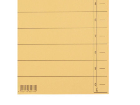 LEITZ Intercalaires, format A4 extra large,en carton manille