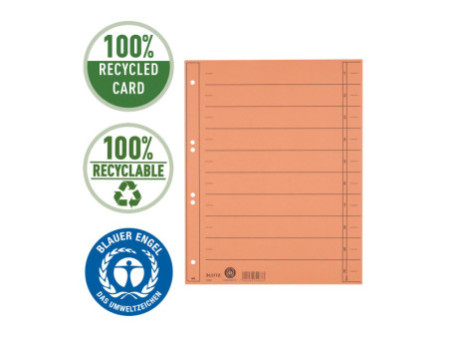 LEITZ Intercalaires, format A4 extra large,en carton manille