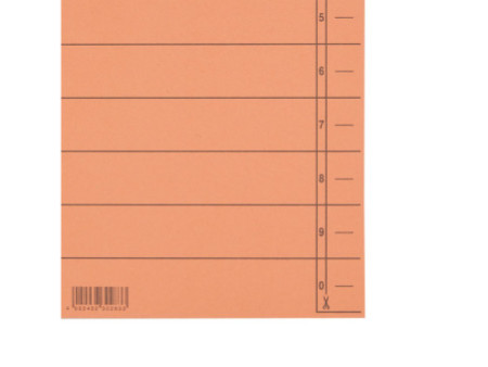 LEITZ Intercalaires, format A4 extra large,en carton manille