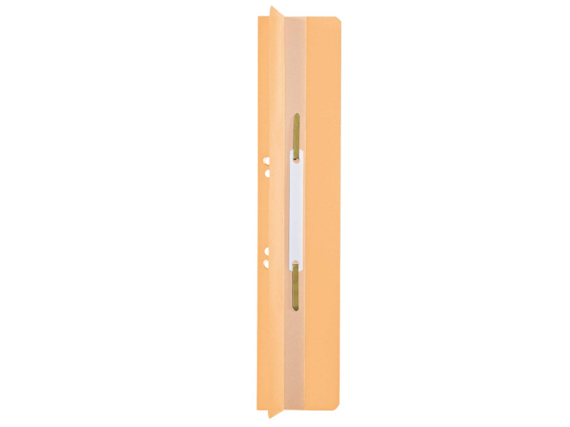LEITZ Fixe-documents, 65 x 305 mm, carton manille, chamois,