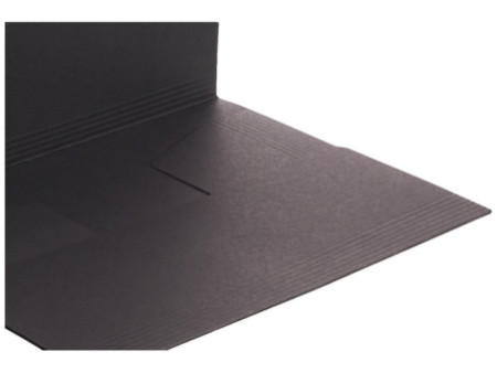 LEITZ Chemise-trieur, A4, carton de 430 g/m2, noir