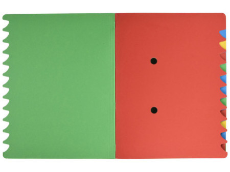 LEITZ Chemise trieur, A4, carton, 12 compartiments, vert
