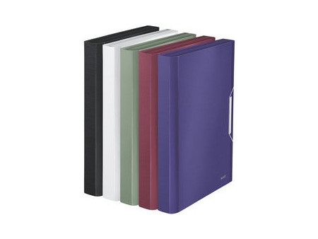 LEITZ Trieur ménager Style, A4, PP, 6 compartiments, vert
