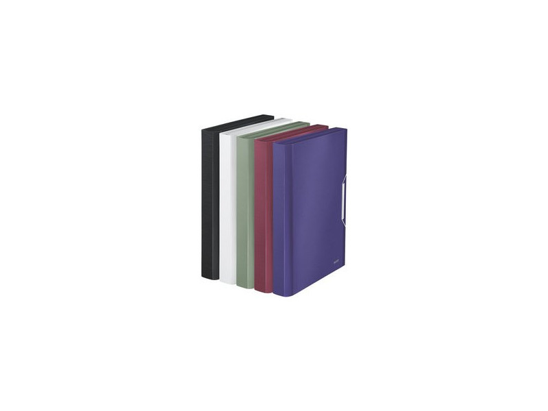 LEITZ Trieur ménager Style, A4, PP, 6 compartiments, vert