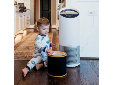 LEITZ Filtre à charbon actif anti-odeur pour purificateur