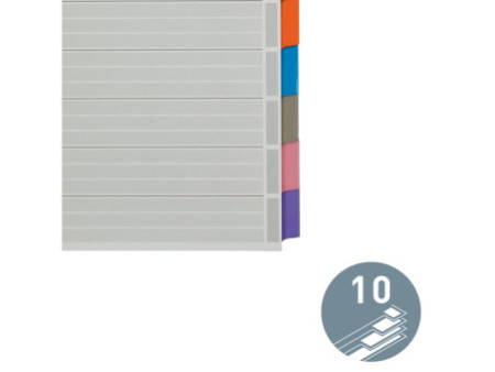 LEITZ Intercalaires en carton mylar, blanc, A4, gris, 10