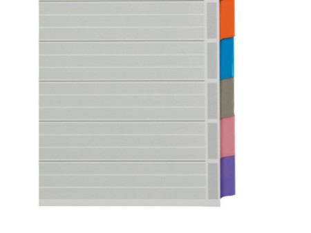 LEITZ Intercalaires en carton mylar, blanc, A4, gris, 10