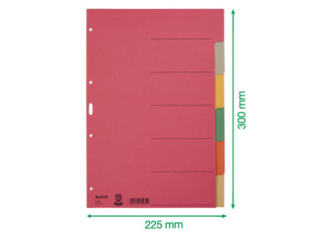 LEITZ Intercalaires en carton extra solide, vierges, A4