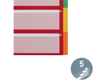 LEITZ Intercalaires en carton, blanc, A4, 5 positions,