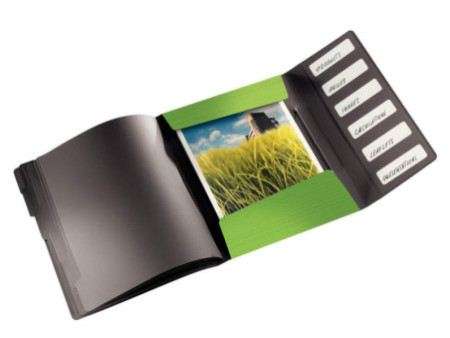 LEITZ Trieur Solid, A4, PP, 6 compartiments, vert clair