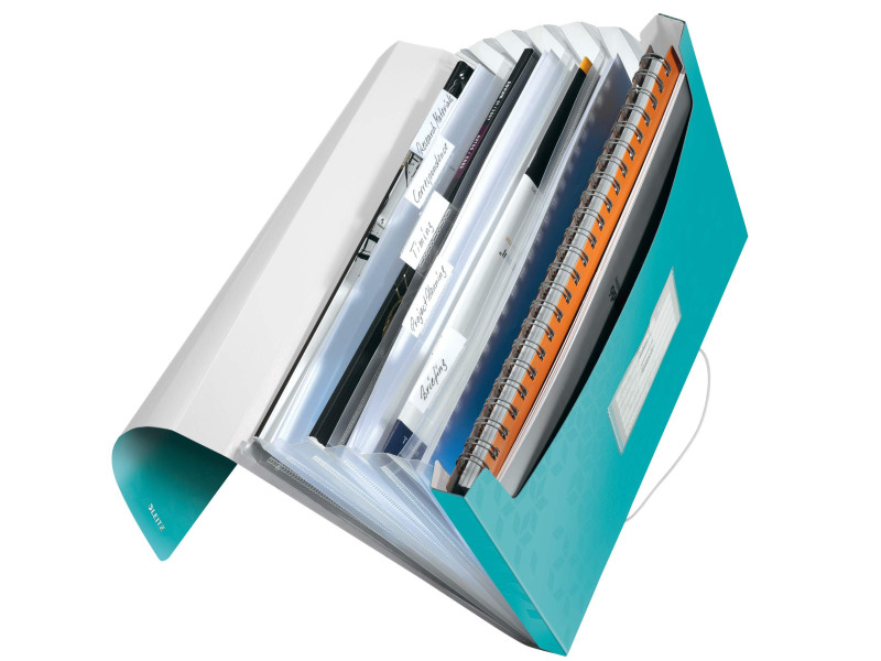 LEITZ Trieur ménager WOW, A4, PP, 6 compartiments, menthe