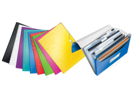 LEITZ Trieur ménager WOW, A4, PP, 6 compartiments, vert