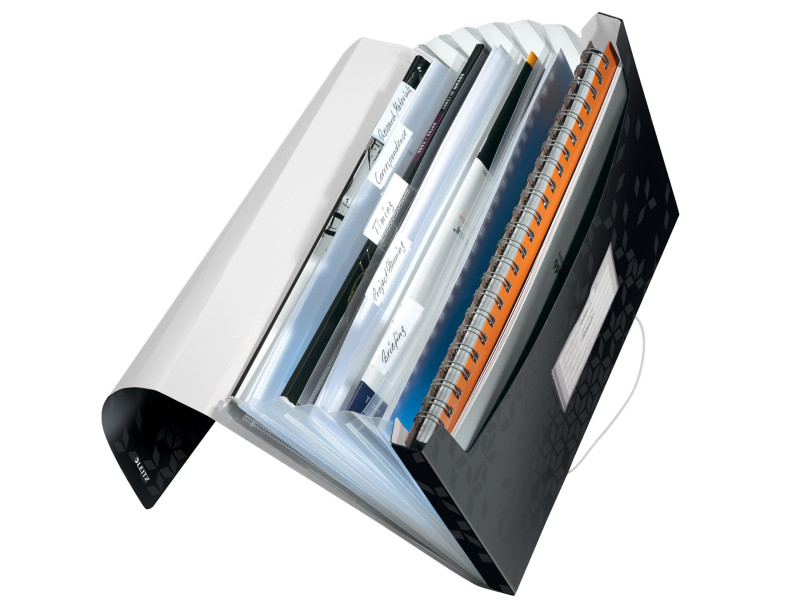 LEITZ Trieur ménager WOW, A4, PP, 6 compartiments, noir
