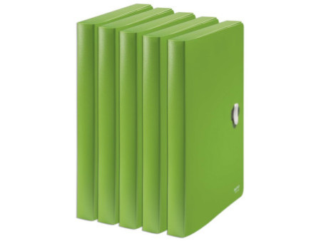 LEITZ Boîte de rangement Recycle, 30 mm, A4, PP, vert