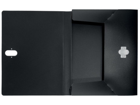 LEITZ Boîte de rangement Recycle, 30 mm, A4, PP, noir