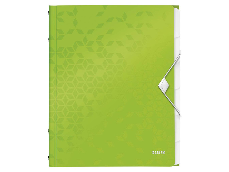 LEITZ Chemise de rangement WOW, A4, PP, vert métallisé