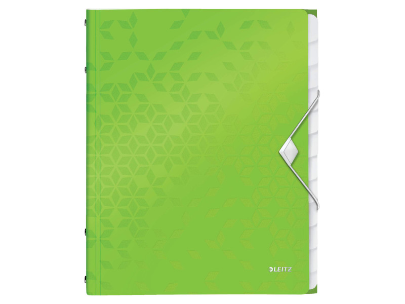 LEITZ Chemise de rangement WOW, A4, PP, vert métallisé