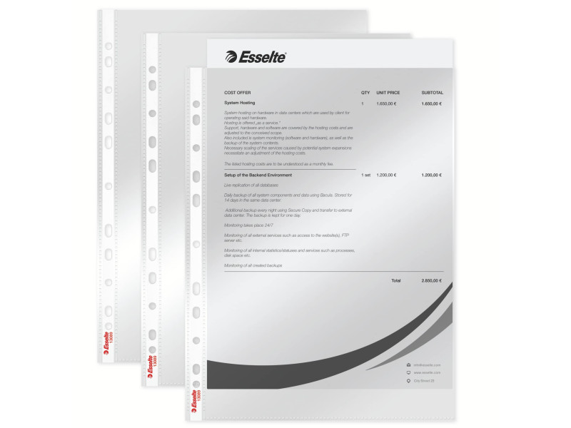 Esselte Pochette perforée Economy, A4, PP, transparent