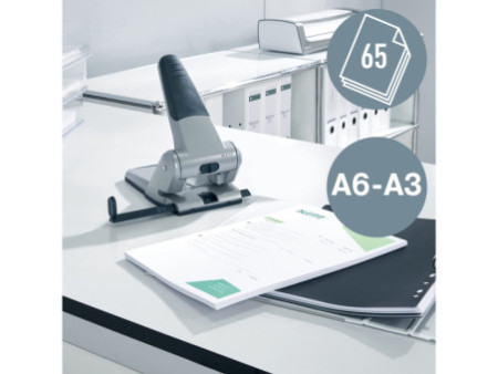 LEITZ Perforateur d'archives 5180, argent