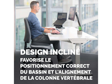 Fellowes Coussin d'assise en biseau Breyta, noir