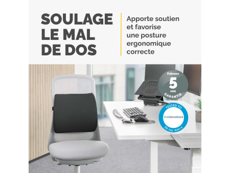 Fellowes Coussin de dossier confort Breyta, noir