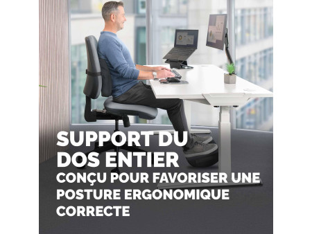 Fellowes Coussin de dossier confort Breyta, noir