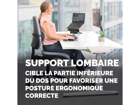 Fellowes Coussin lombaire Breyta, noir