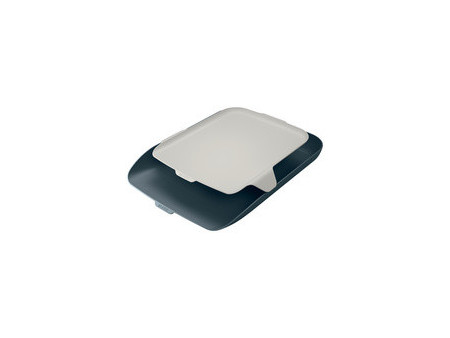 LEITZ Corbeille à courrier Cosy avec organisateur, A4, gris