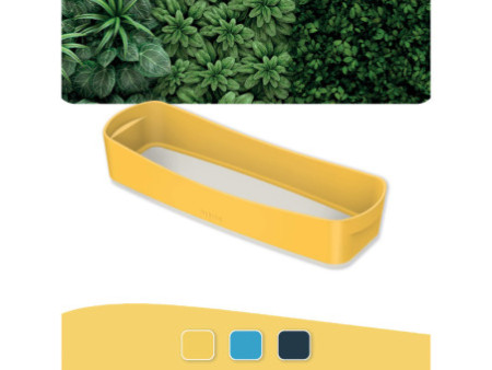 LEITZ Bac de rangement My Box Cosy, long, jaune