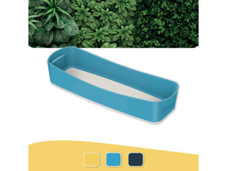 LEITZ Bac de rangement My Box Cosy, long, bleu