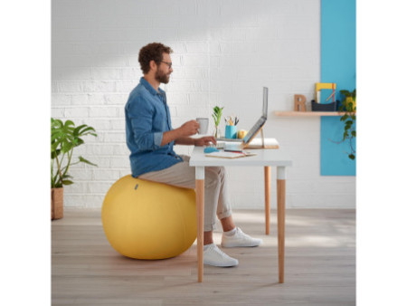 LEITZ Ballon d'assise Ergo Cosy, diamètre: 650 mm, jaune